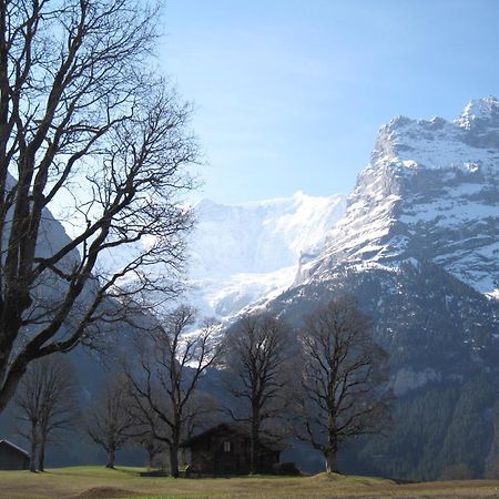 Superior Apartment 100m2 Bodmisonne - Grindelwald Eksteriør billede