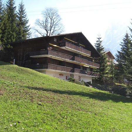 Superior Apartment 100m2 Bodmisonne - Grindelwald Eksteriør billede