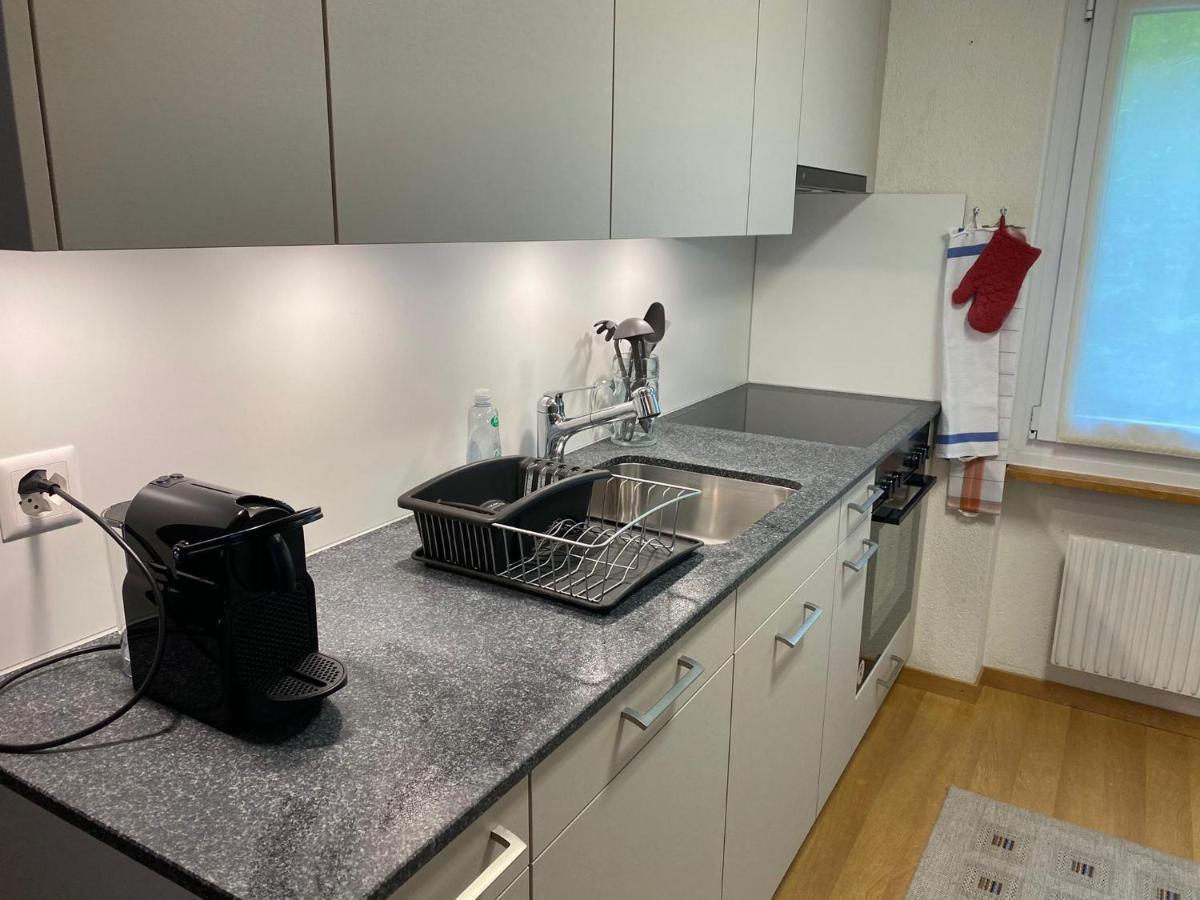 Superior Apartment 100m2 Bodmisonne - Grindelwald Eksteriør billede