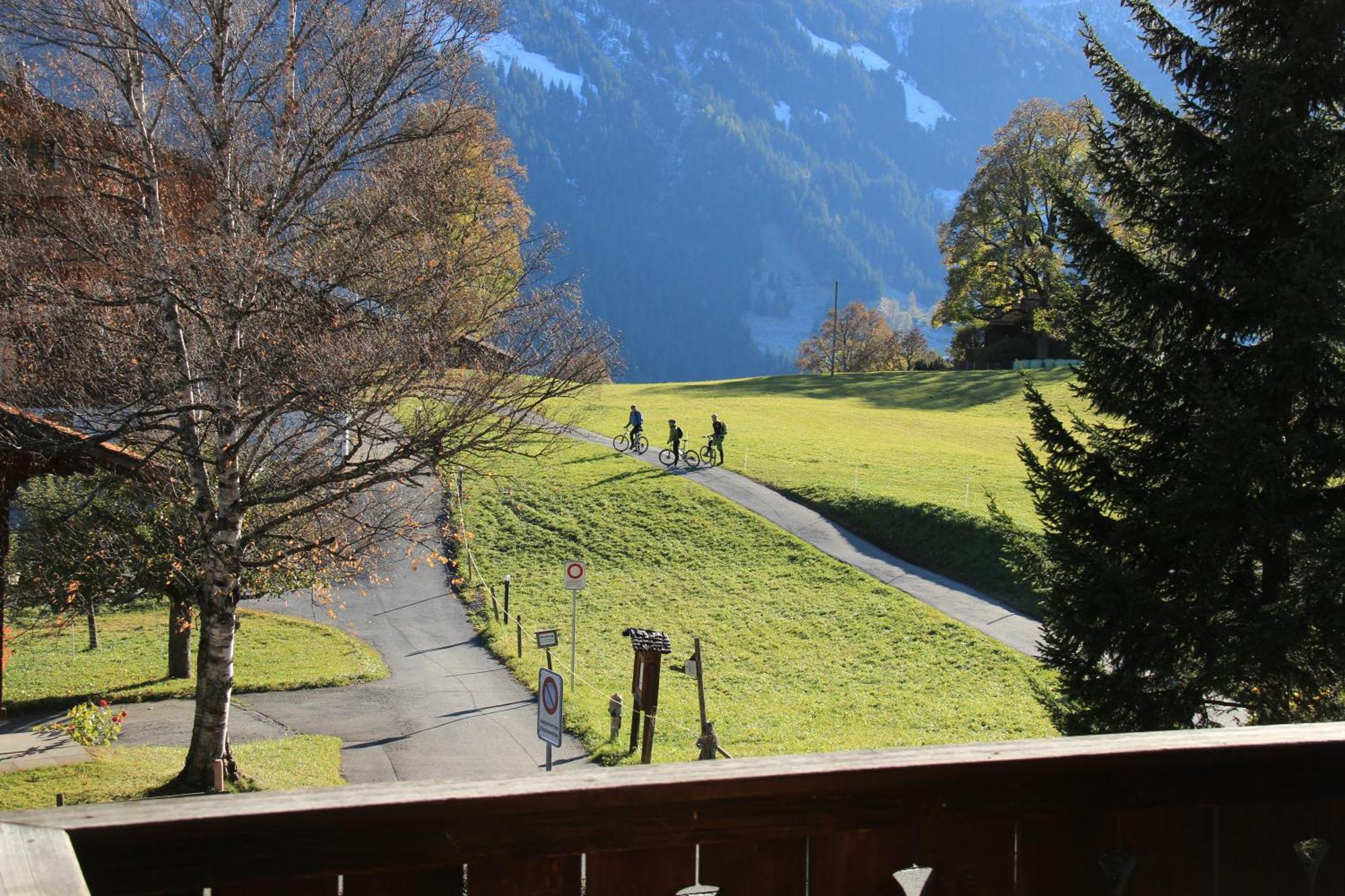 Superior Apartment 100m2 Bodmisonne - Grindelwald Eksteriør billede